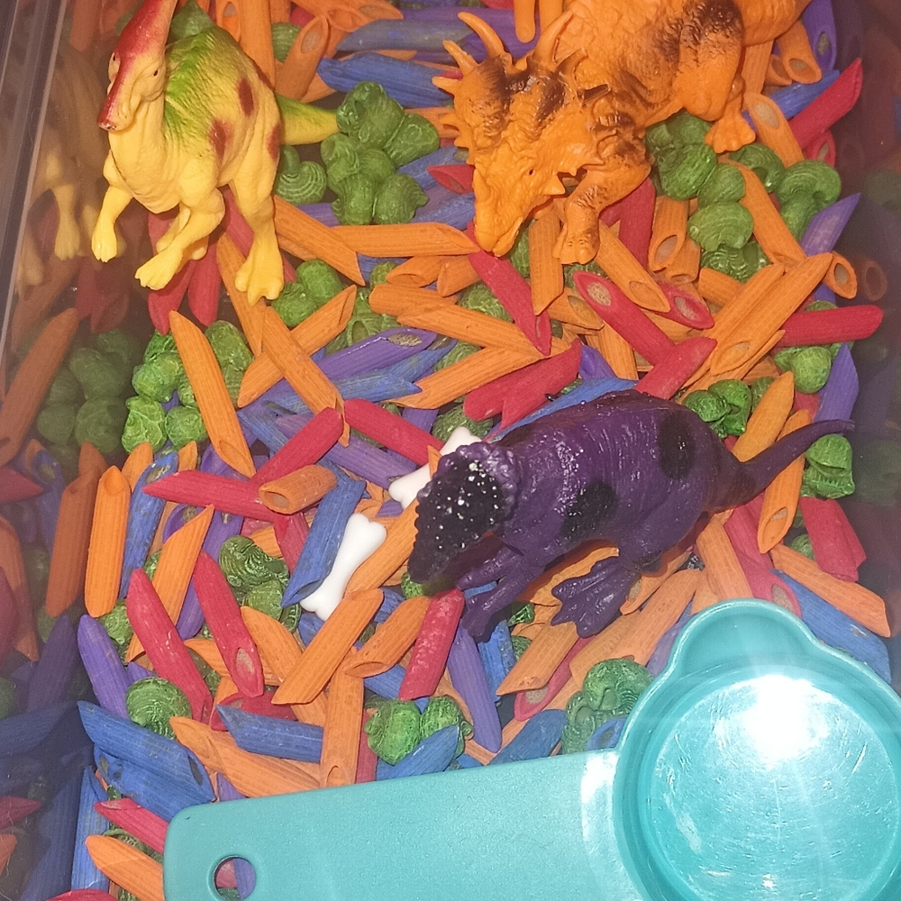 Sensory Bin